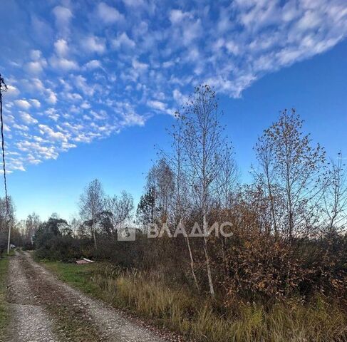 сад Ленинец-10 фото сад Ленинец-10 фото