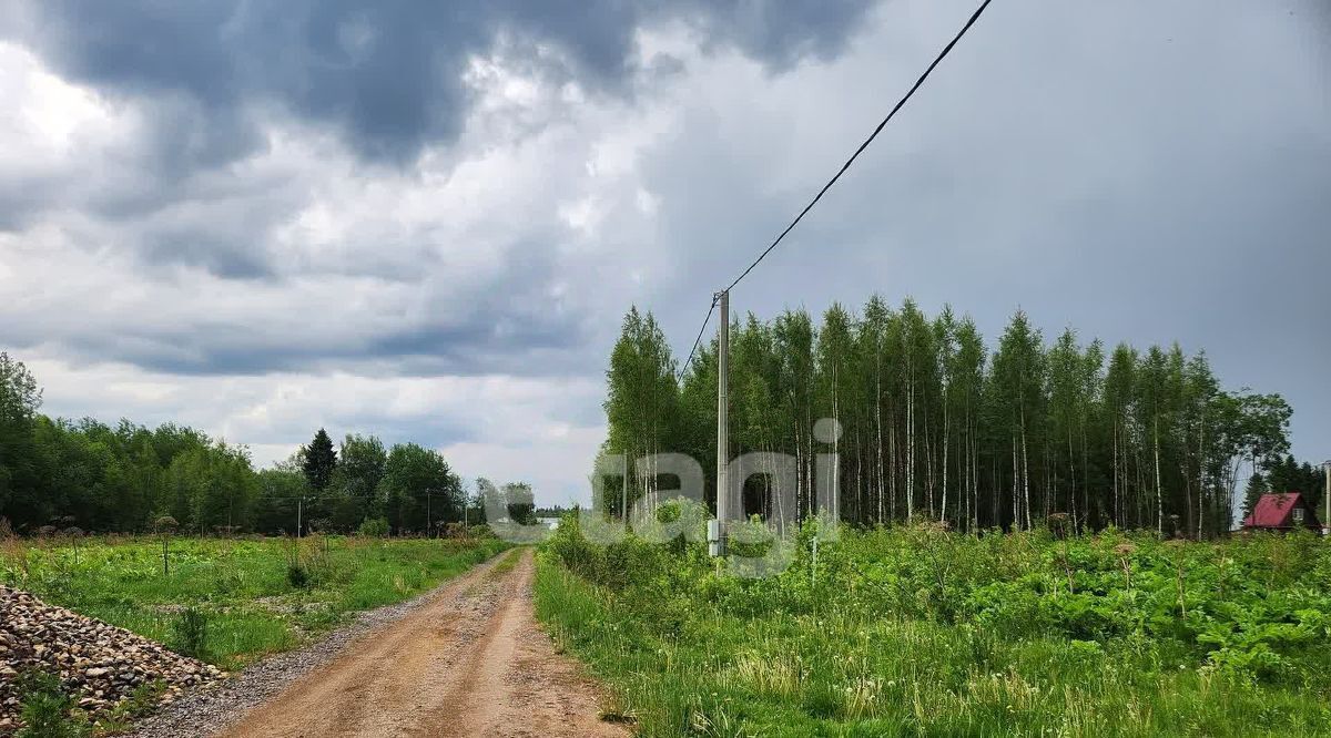 земля р-н Костромской д Кузьмищи ул Лесная Кузьмищенское с/пос фото 4