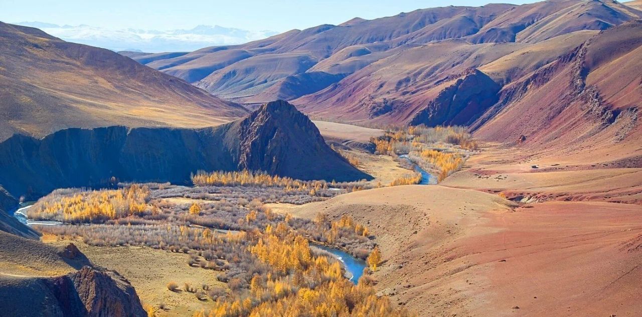 офис р-н Кош-Агачский с Теленгит-Сортогой фото 1