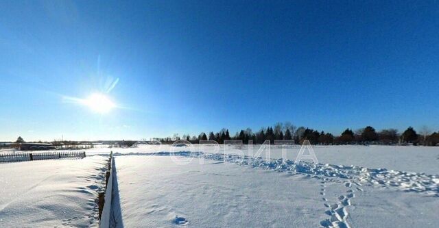 земля ул Первомайская фото