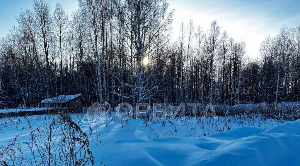 земля р-н Нижнетавдинский снт Геофизик-2 фото 3