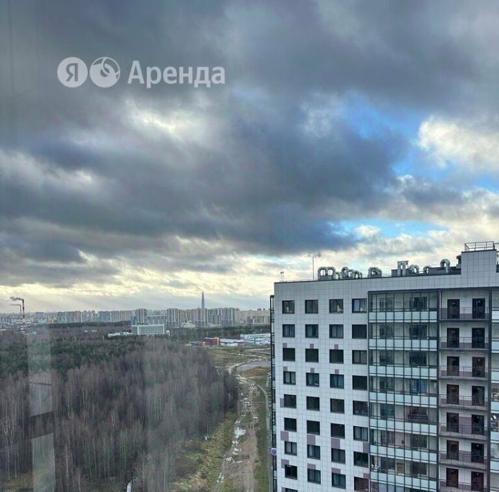 квартира г Санкт-Петербург метро Проспект Просвещения наб Реки Каменки 13к/1 фото 9