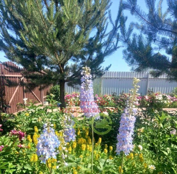 дом р-н Белгородский с Стрелецкое ул Королева Стрелецкое сельское поселение фото 40