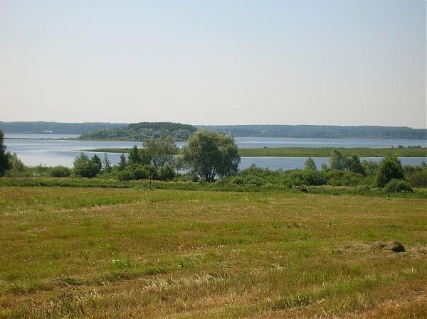 земля д. Рыбушкино фото