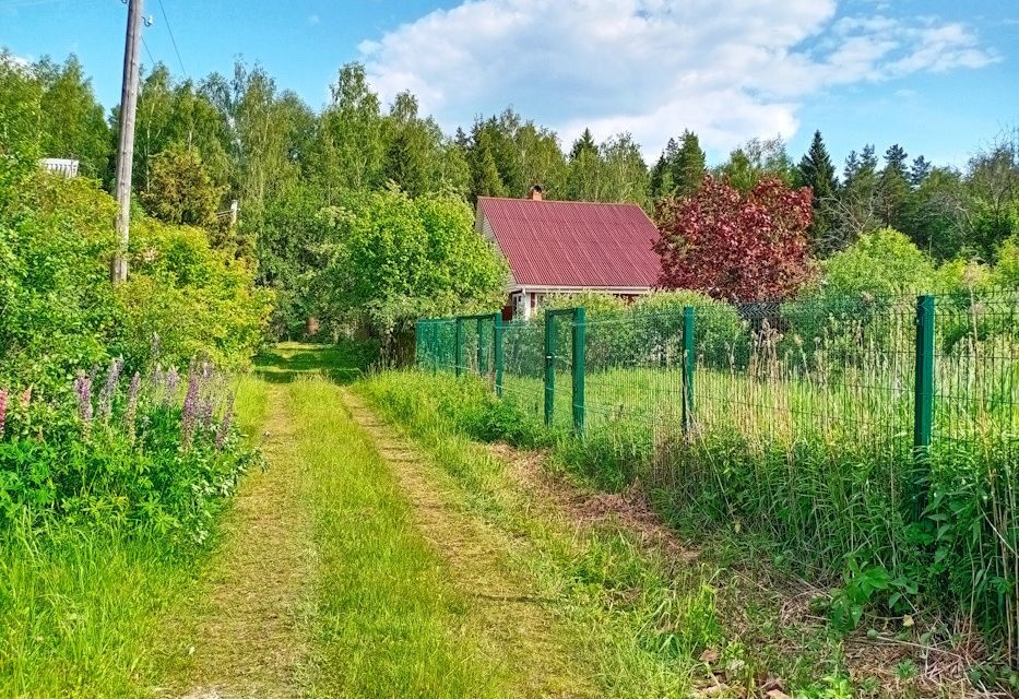 земля городской округ Богородский СНТ Дубрава фото 3