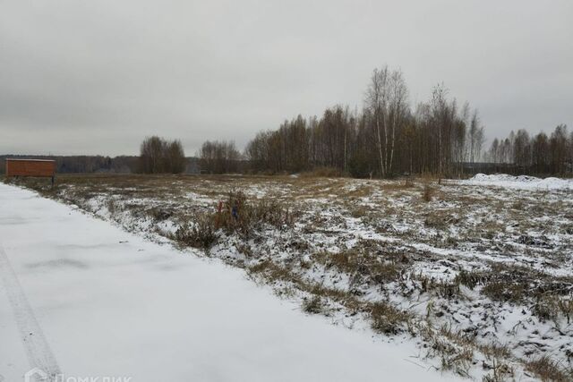 земля территория КСА, ст 1, Домодедово городской округ фото