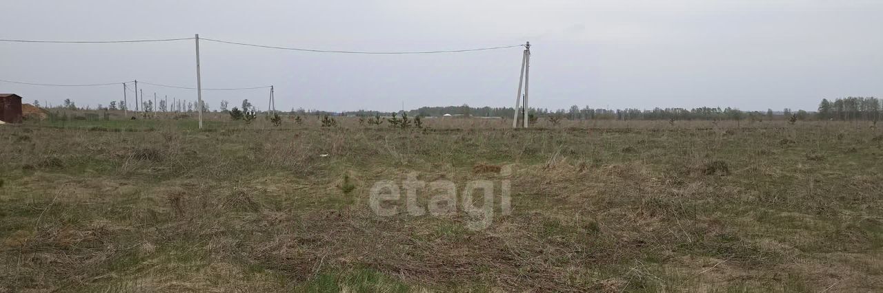 земля р-н Добровский с Кореневщино ул 2-я Загородная фото 1