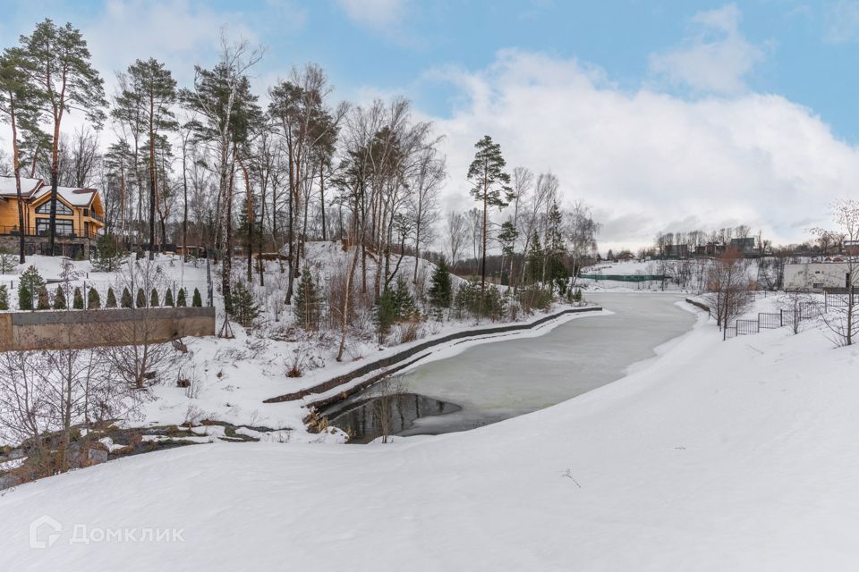 дом 217, Одинцовский городской округ, Берёзки фото 10