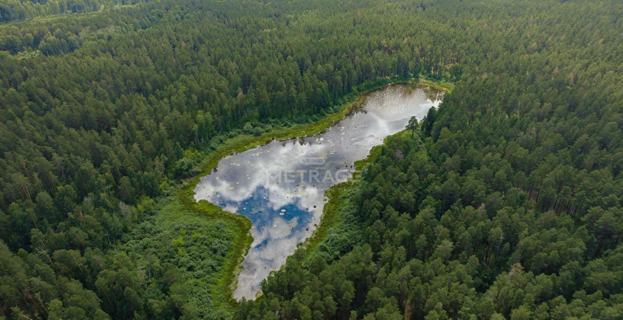 земля р-н Ордынский рп Ордынское озеро Пивочное фото 6