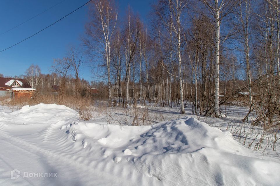 земля г Тюмень снт Сосновая поляна ул 20-я городской округ Тюмень фото 9