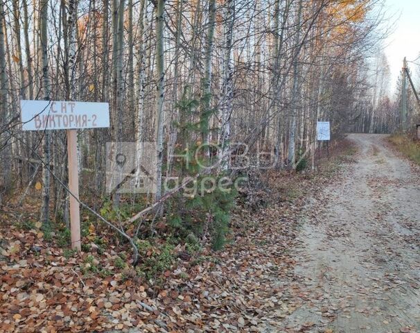 земля СОНТ Виктория, Ханты-Мансийск городской округ фото