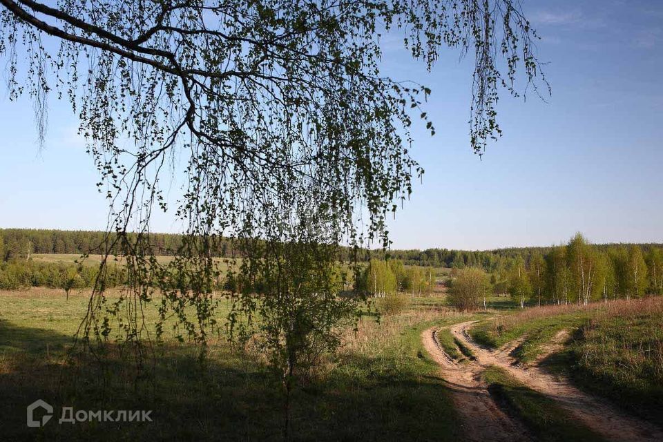 земля р-н Ковровский деревня Авдотьино фото 3