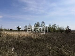 земля р-н Орловский СНТ Геолог фото 3