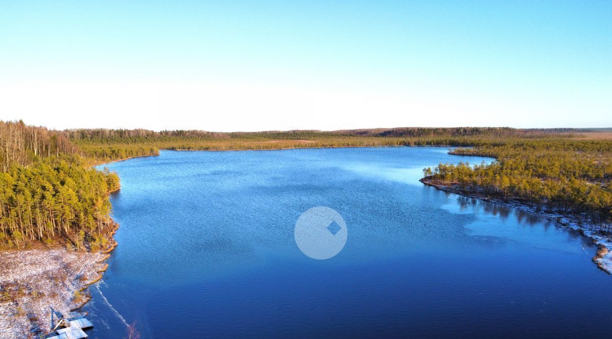 дом р-н Тосненский д Ивановское ул Летняя Любанское городское поселение фото 28