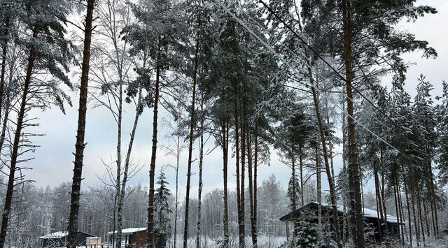 земля рп Некрасовское с пос, Малые Соли Парк кп, ул. Сосновая фото