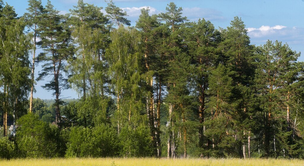 земля г Ступино городской округ Ступино фото 1