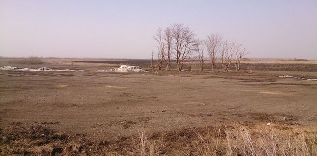 земля р-н Токаревский д Петровское Токаревка, с. Львово фото