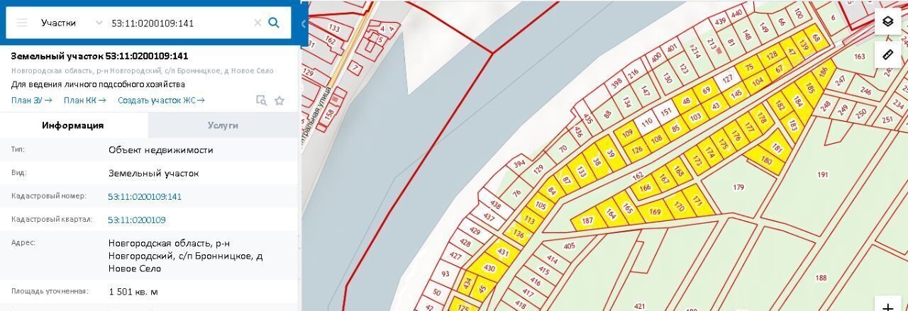 земля р-н Новгородский с/п Бронницкое с. Деревня Новое, ул. Речная фото 2