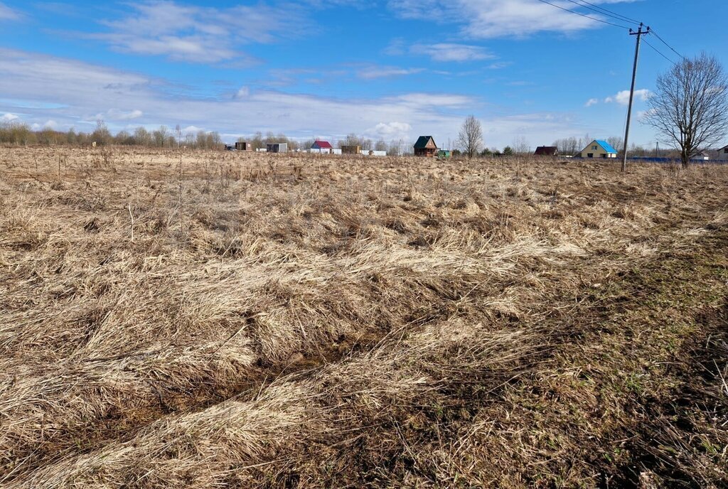 земля р-н Новгородский д Плотишно Трубичинское сельское поселение фото 5