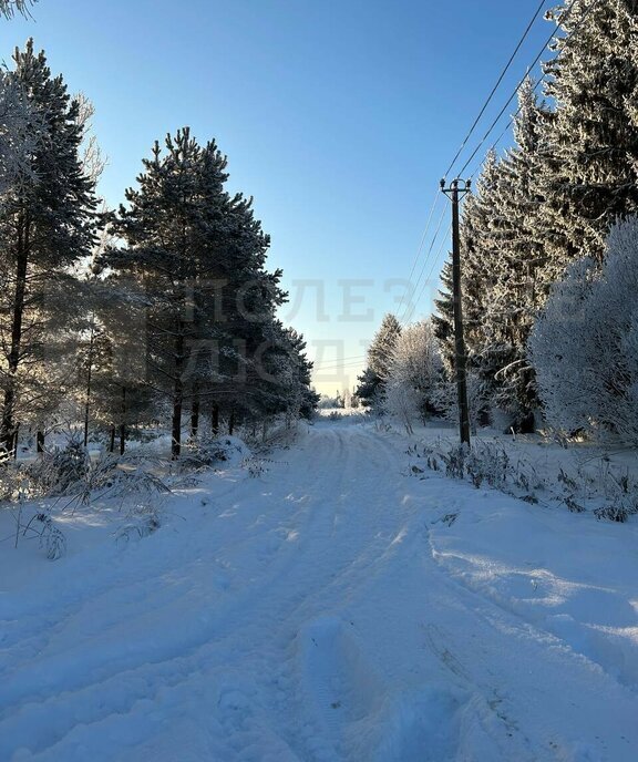 земля р-н Новгородский д Васильевское Ракомское сельское поселение фото 16