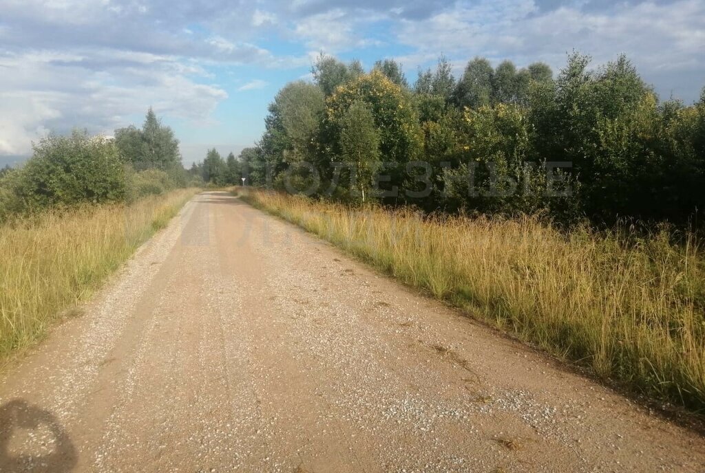 земля р-н Новгородский д Васильевское Ракомское сельское поселение фото 21