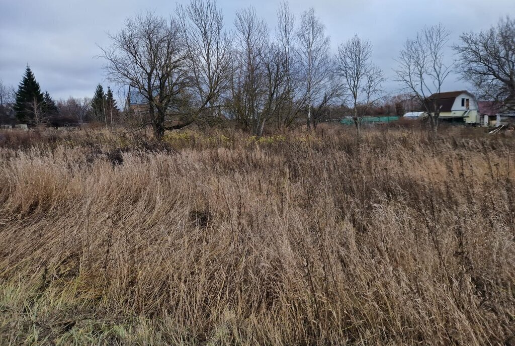 земля городской округ Луховицы д Головачёво фото 15