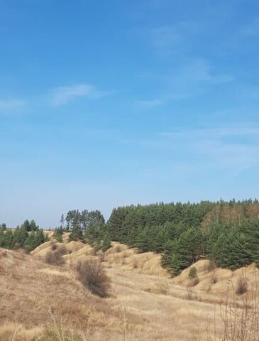 Верхнестуденецкий сельсовет фото Верхнестуденецкий сельсовет фото