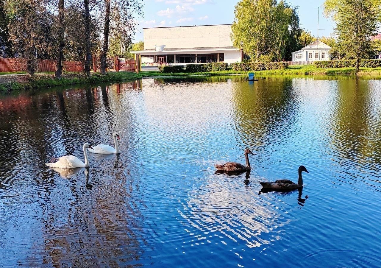 земля г Нижний Новгород р-н Советский Горьковская пл Советская фото 5