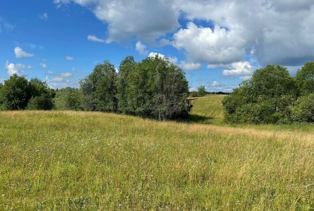 земля р-н Окуловский фото 12