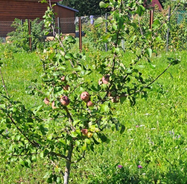 дом р-н Боровский д Абрамовское ул Заречная с пос, Асеньевское фото 9