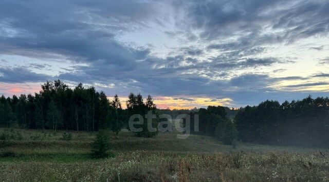 земля д Камыш ул Ягодная 1 Богородское с пос фото