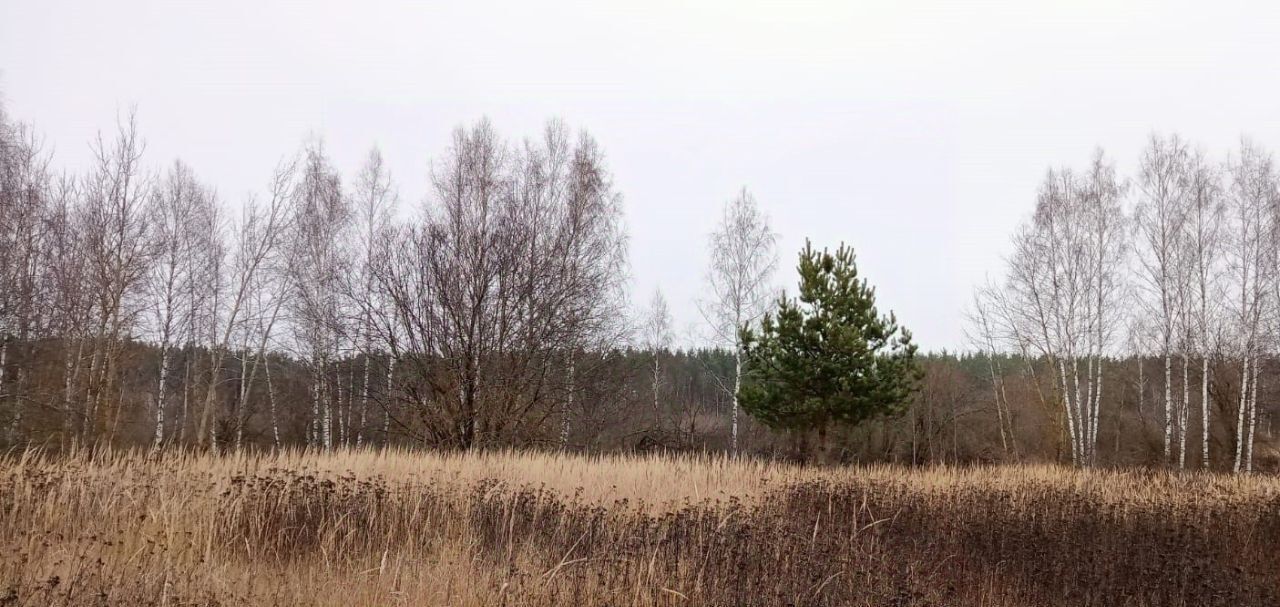 офис городской округ Егорьевск д Ивановская фото 1