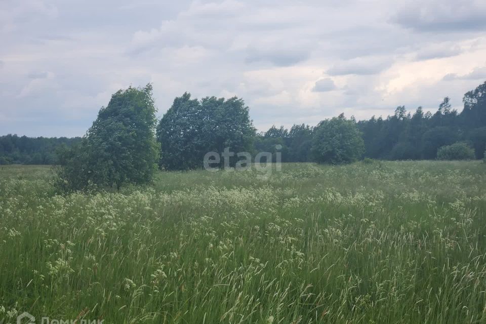 земля р-н Киришский с. Посадников Остров фото 2