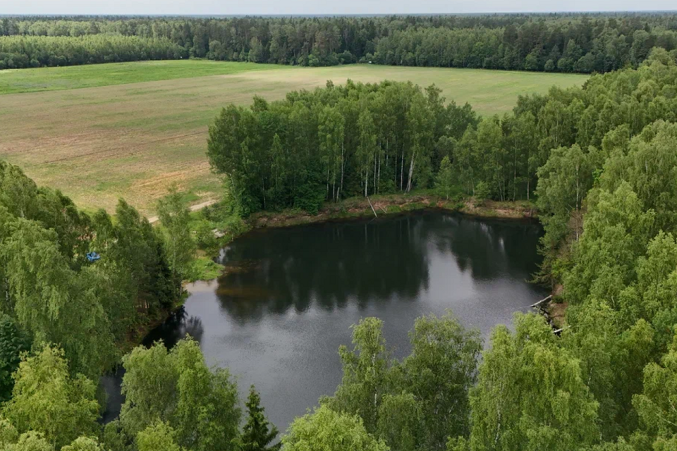 земля г Черноголовка д Старки Черноголовка городской округ, 34 фото 5