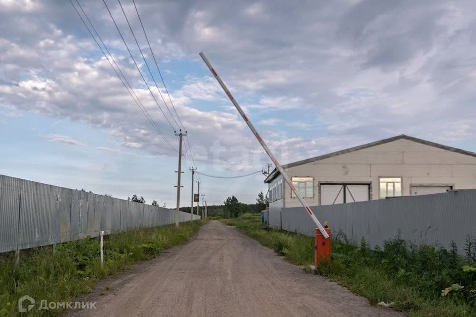 земля р-н Всеволожский Росток-Соржа фото 6