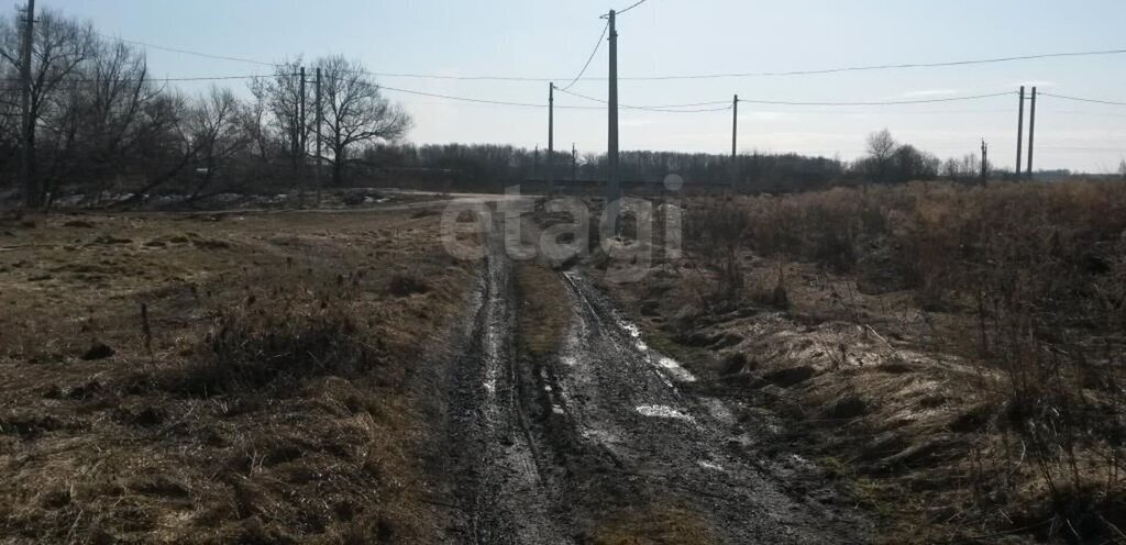 земля р-н Ленинский д Волоть муниципальное образование фото 6