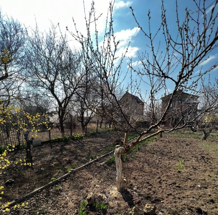 дом р-н Симферопольский с Трудовое ул Зеленая Трудовское сельское поселение фото 2