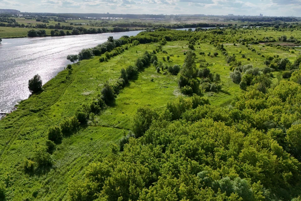 земля г Лыткарино Лыткарино городской округ, 1-й м-н фото 6