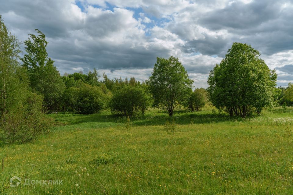 земля р-н Всеволожский фото 2