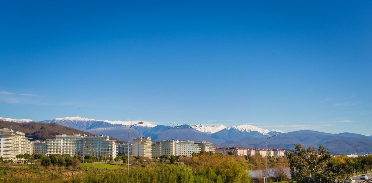 комната Сириус пгт, ул. Старообрядческая, 12 фото 2