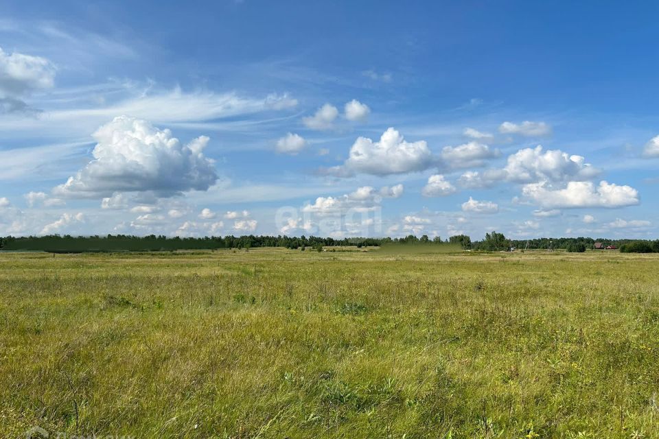 земля р-н Березовский фото 4