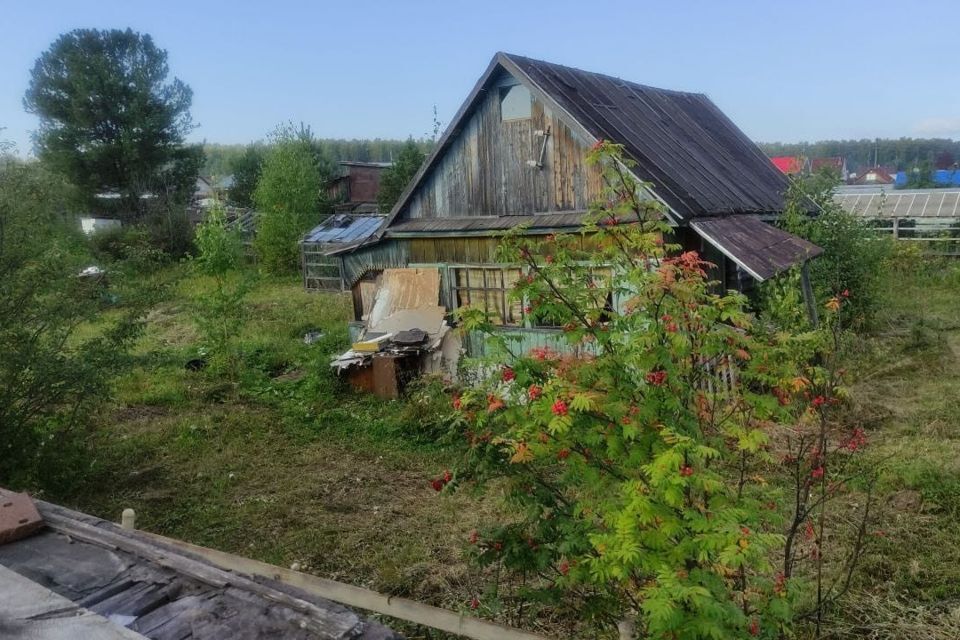 земля Качканарский городской округ, Качканар фото 3