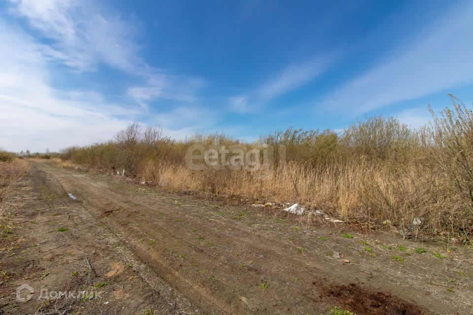 земля р-н Тюменский снт Нива ул Городская фото 4