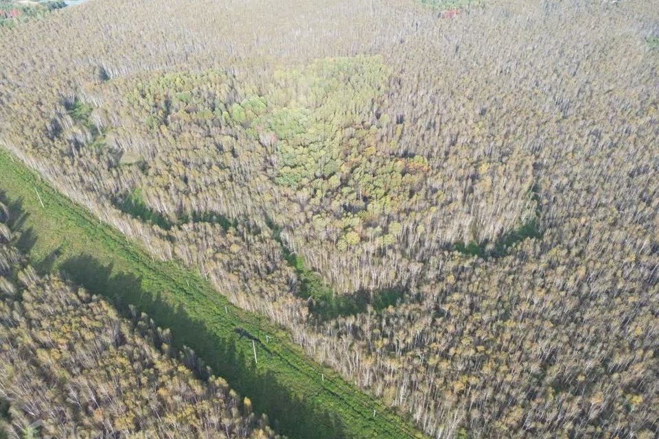 земля р-н Нижнетавдинский снт Сундукуль ул Малиновая фото 9