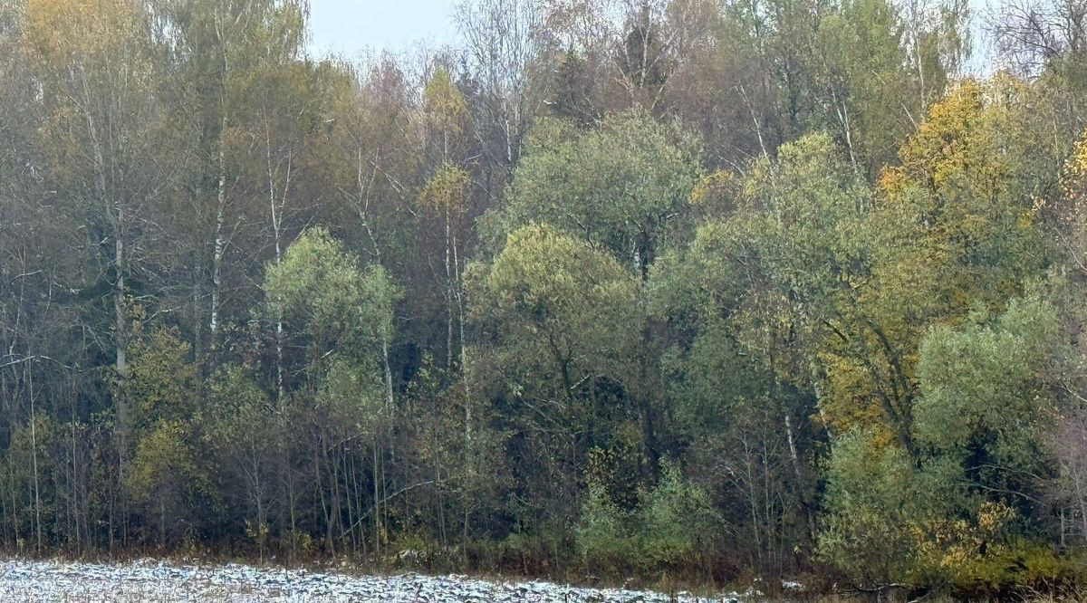 офис городской округ Солнечногорск д Мерзлово фото 1