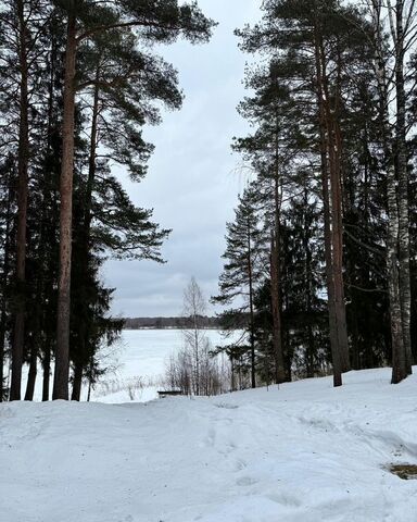 земля Вышневолоцкий муниципальный округ фото