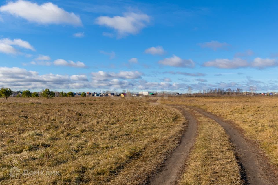 земля р-н Тюменский Борки фото 10