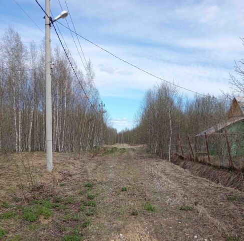 земля тер. ДПК Тимуровец муниципальное образование, ул. Летная, Андреевское фото