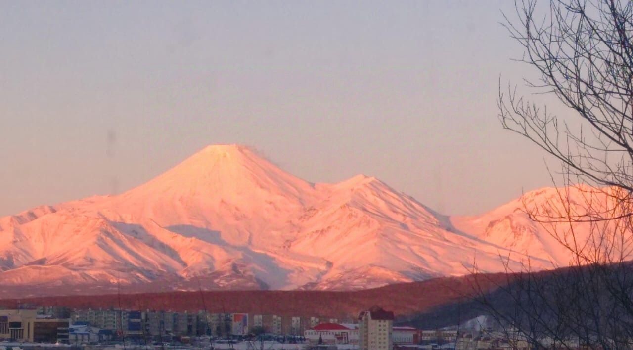 квартира г Петропавловск-Камчатский ул Елизовская 7 фото 8