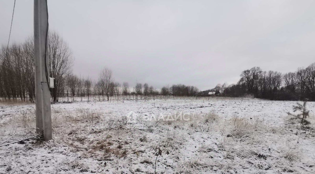 земля р-н Суздальский с Новоалександрово ул Владимирская фото 3